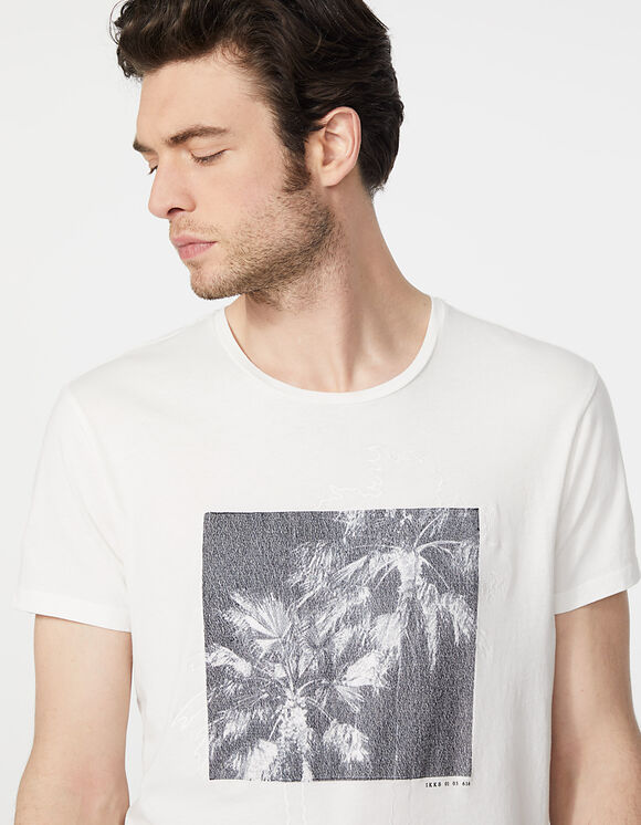 Tee shirt sales palmier homme