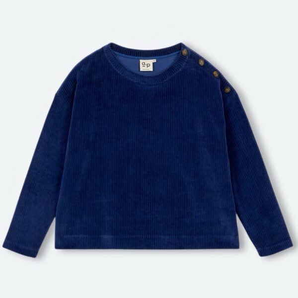 ARSÈNE ET LES PIPELETTES : Sweat Gally velours bio